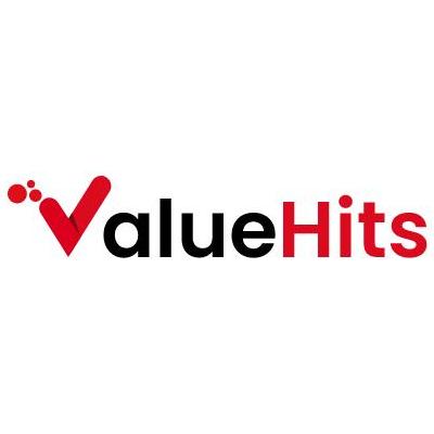 ValueHits Digital Marketing Agency