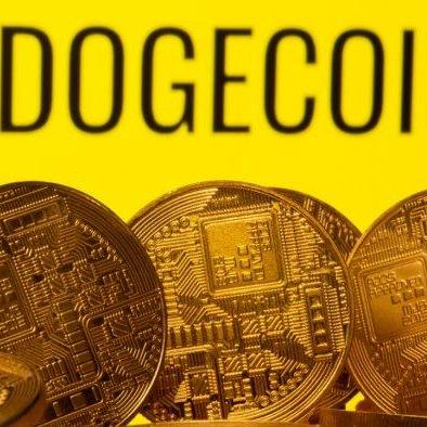 Doge Coin  Millionaire 