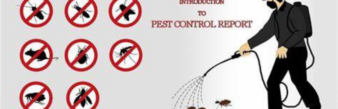  Pest Control  Bendigo