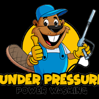 Under Pressure  Power Washing
