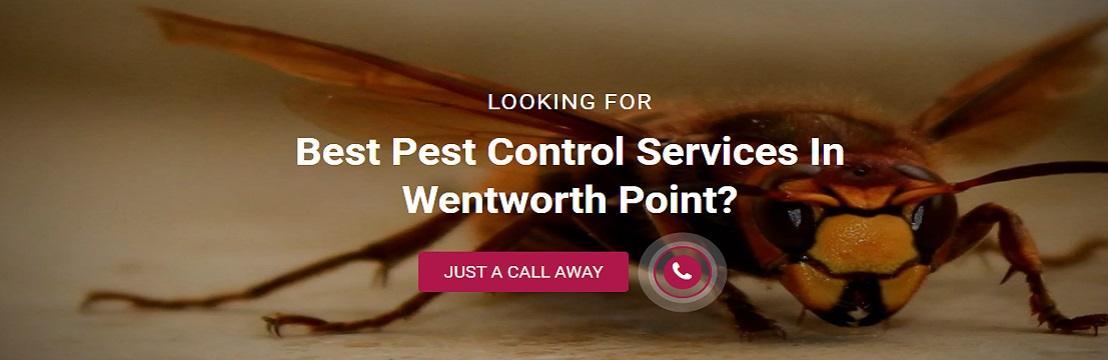 Pest Control Wentworth Point