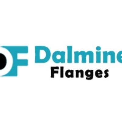 Dalmine Flanges