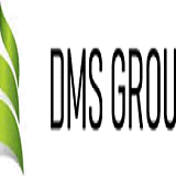 DMS Group