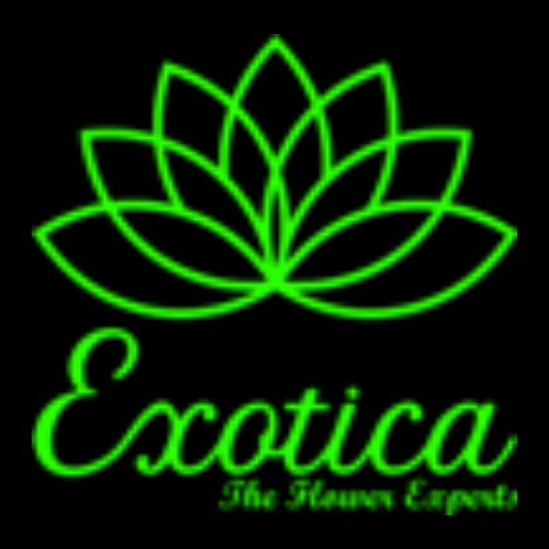 Exotica Gifting