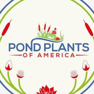 Pond Plant