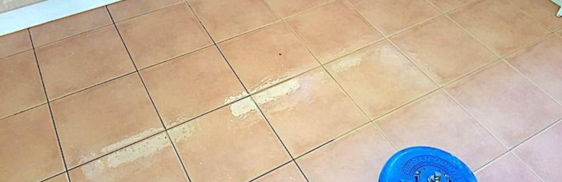 Rejuvenate Tile Grout  Cleaning