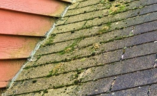 can a leaky roof cause mold