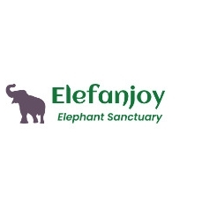 Elefan Joy