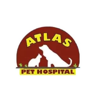 Atlas Pet Hospital