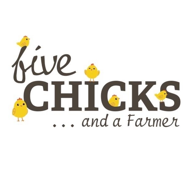 5 Chicks And A Farmer
