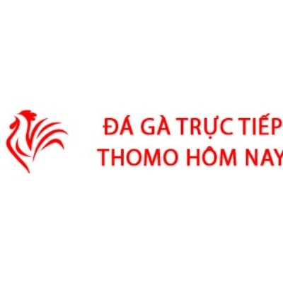 Đá Gà Trực Tiếp  Thomo Hôm Nay