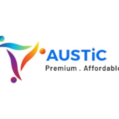 Austic  3D Shop