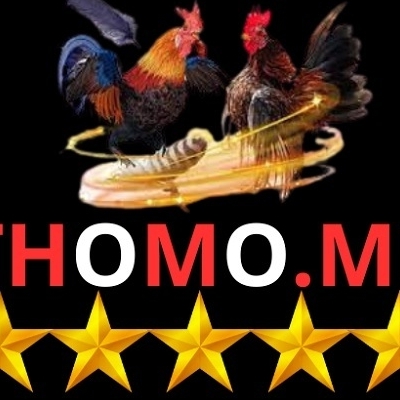 ĐÁ GÀ THOMO