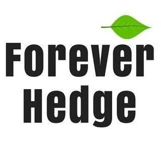 Forever  Hedge
