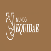 Mundo  Equidae