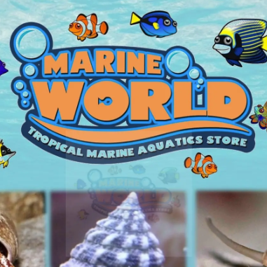 Marine World Aquatics