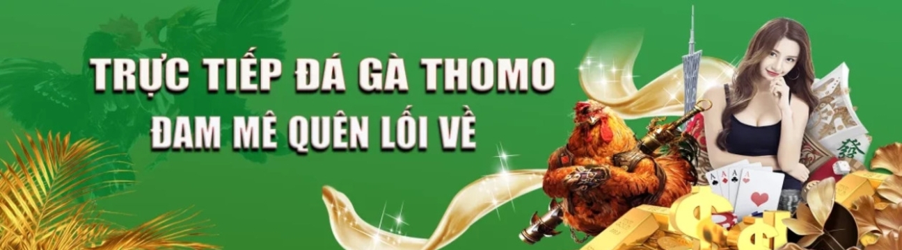 Đá Gà Thomo