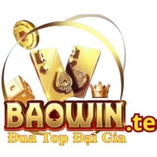 BAOWIN Tech