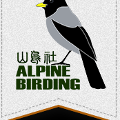 Alpine Birding