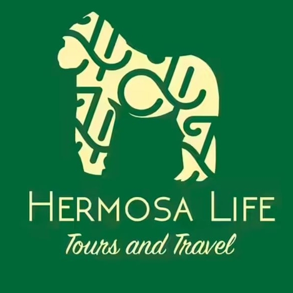 Hermosa Life  Tours & Travel