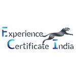 Experience Certificate India