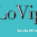 LoVip 24h