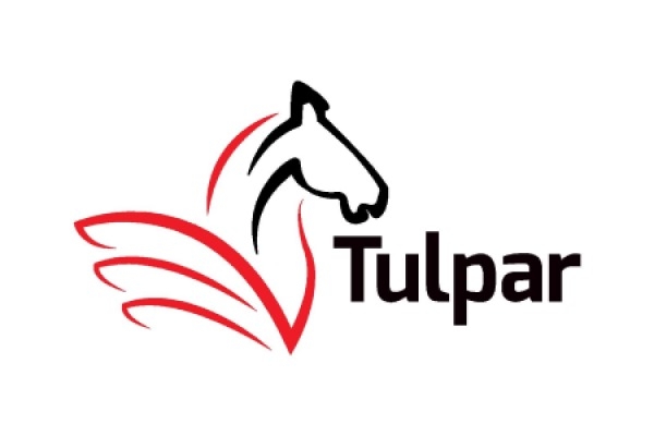 Tulpar Global  Taxation