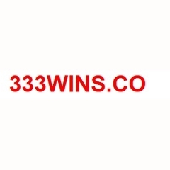 333WINs  Co