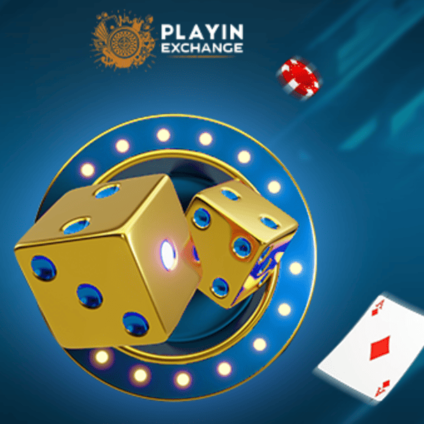 Playinexch Casino