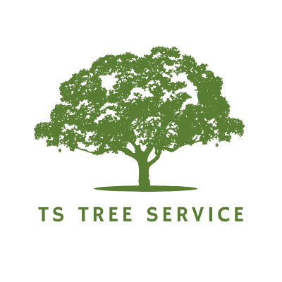 TS Tree Service