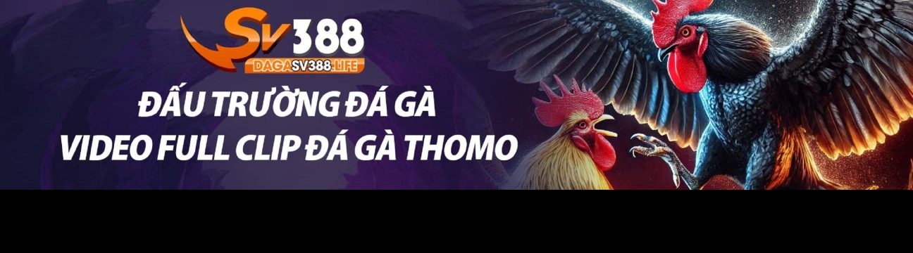 SV388 Cổng Giải Trí