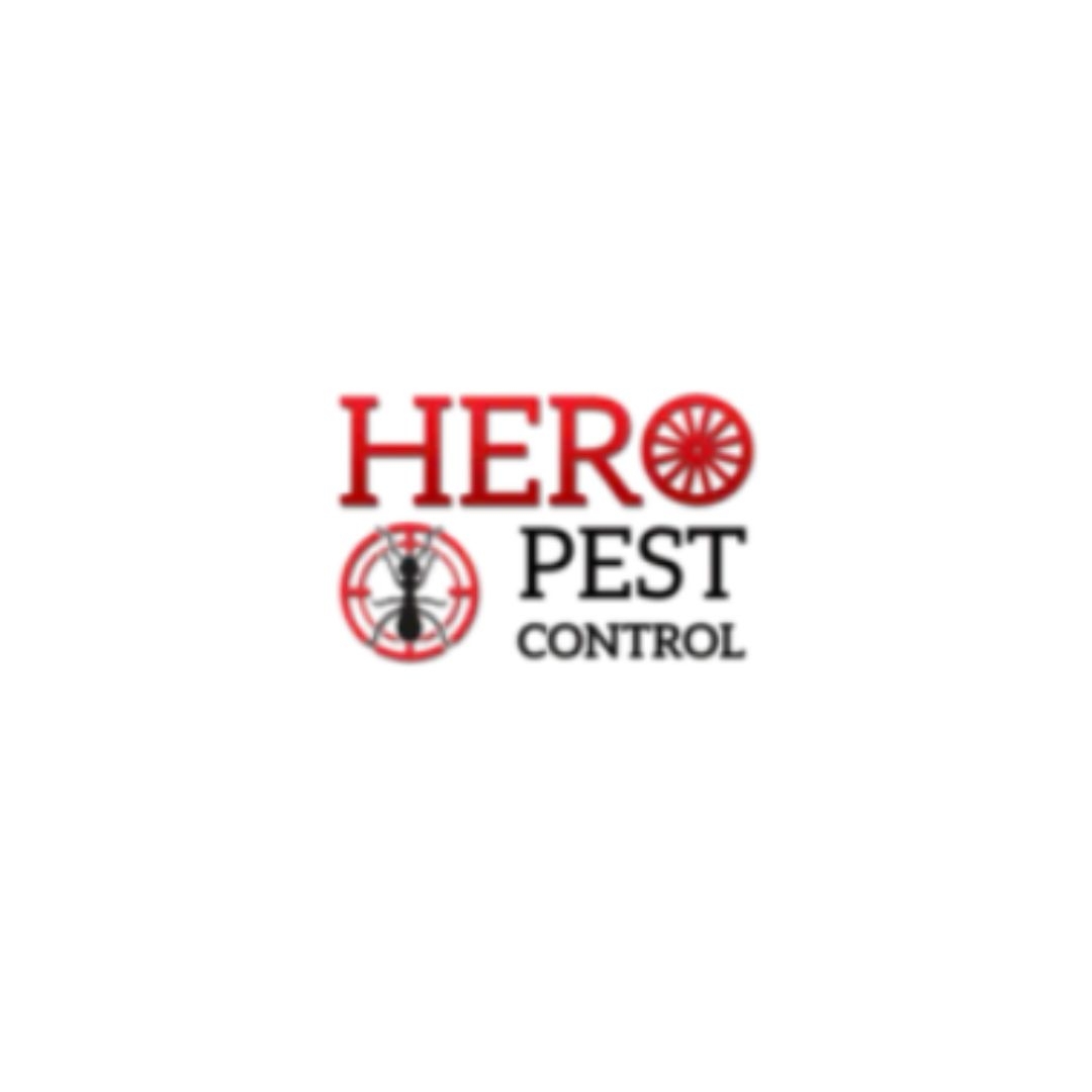 Pest Control Cranbourne Cranbourne