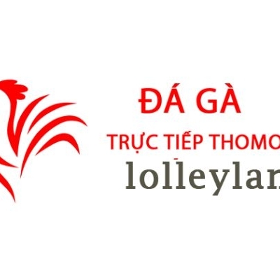 Đá Gà Trực Tiếp  Thomo Hôm Nay