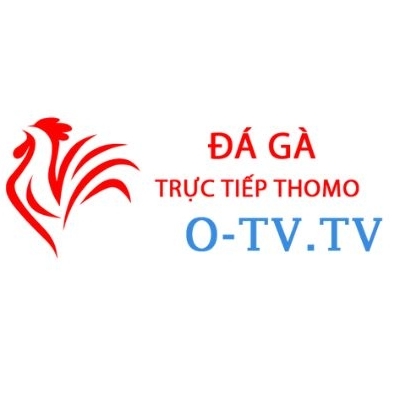 Đá Gà Trực Tiếp Thomo