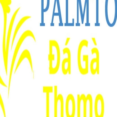 Đá Gà Trực Tiếp  Thomo