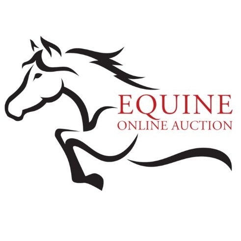 Equine Online  Auction