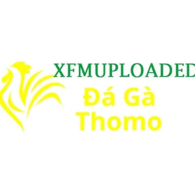 Đá Gà Trực Tiếp Thomo