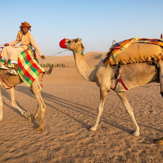 Incredibleindia Rajasthantours