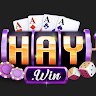 1Haywin tech